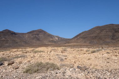 Kışın kuru yüzeyi olan yüksek kayalık dağlar. Parlak mavi gökyüzü. Parkın doğal Jandia, Fuerteventura, Kanarya Adaları, İspanya.