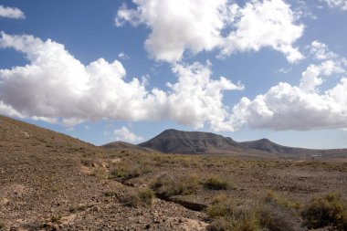 Kışın yeşil çöl bitkilerinin etrafındaki kuru volkanik kayalık dağlar. Beyaz bulutlu mavi gökyüzü. Merkez Fuerteventura, Kanarya Adaları, İspanya.