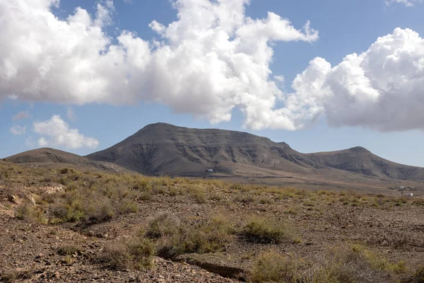 干旱的火山岩山脉环绕着绿色的沙漠植物在冬天 蓝天白云 西班牙加那利群岛Fuerteventura中部 — 图库照片