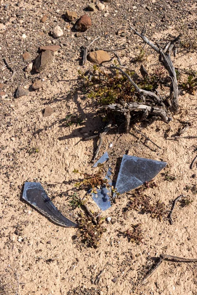 干枯的沙土 石头和沙漠植物 蓝色破碎的玻璃碎片 阳光的启发 西班牙加那利群岛Fuerteventura — 图库照片