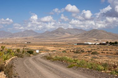 Yeşil bitkilerle kaplı kıvrımlı taşra yolu. Arka planda dağlar. Mavi gökyüzü ve beyaz bulutlar. Llanos de la Concepcion, Fuerteventura, Kanarya Adaları, İspanya.