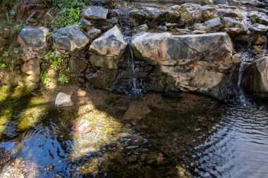 Kışın dağlardan gelen küçük bir nehir tüm vahaya su getirir ve onu canlı tutar. Barranco de la Madre del Agua, Fuerteventura, İspanya.