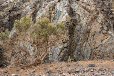 Kayaların iç kısımlarındaki renkleri ve yapıları Pena Horada plajını bitiriyor. Ajuy, Fuerteventura, Kanarya Adaları, İspanya.