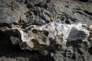 Duvarın bir parçası olarak siyah kaya, içinde beyaz damar çizgisi olan, güneş ışığıyla aydınlanan. Pena Horada, Fuerteventura, İspanya.