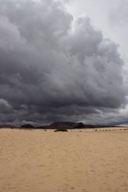 Kış mevsiminde kum tepelerinin üzerinde fırtına bulutları. Doğal parkın bir parçası olarak eşsiz bir Avrupa çölü. Corralejo, Fuerteventura, Kanarya Adaları, İspanya.