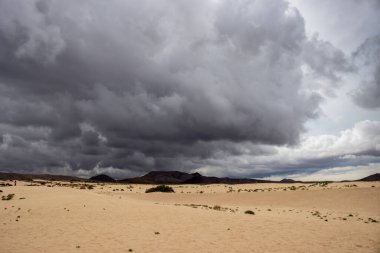 Kış mevsiminde kum tepelerinin üzerinde fırtına bulutları. Doğal parkın bir parçası olarak eşsiz bir Avrupa çölü. Yeşil bitkiler. Corralejo, Fuerteventura, Kanarya Adaları, İspanya.