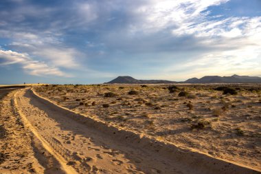 Altın saat boyunca çölde bir akşam. İzleri olan altın kum. Arka planda dağlar. Beyaz bulutlu mavi gökyüzü. Park Natural de Dunas de Corralejo, Fuerteventura, İspanya.
