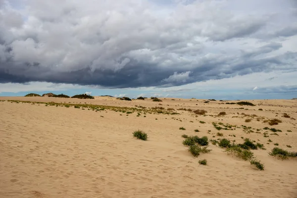 Kış mevsiminde kum tepelerinin üzerinde fırtına bulutları. Doğal parkın bir parçası olarak eşsiz bir Avrupa çölü. Yeşil bitkiler. Corralejo, Fuerteventura, Kanarya Adaları, İspanya.