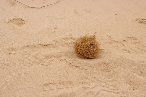 Símbolo Icônico Para Nada Acontece Tumbleweeds Rolando Deserto Feito Telhados — Fotografia de Stock