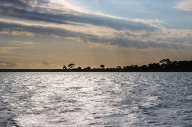 Akdeniz 'de (Tyrhenian) akşam erken saatlerde. Güneşli bulutlu bir gökyüzü. Egadi Adalarından (Isole Egadi) birindeki ağaçların silueti. Marsala, Sicilya, İtalya.