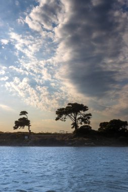 Akdeniz 'de (Tyrhenian) akşam erken saatlerde. Güneşli bulutlu bir gökyüzü. Egadi Adalarından (Isole Egadi) birindeki ağaçların silueti. Marsala, Sicilya, İtalya.