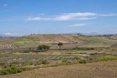 İlkbaharda tarlalar ve çayırlar, büyüyen genç bitkilerle. Tepe aralarında, dağlar arka planda. Parrini, Sicilya, İtalya.