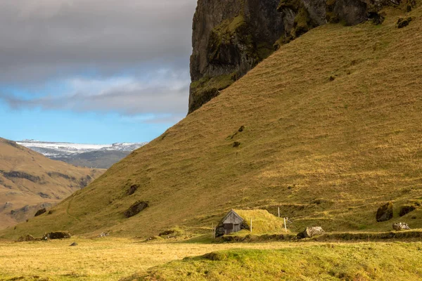 Geel Groene Kleur Van Het Gras Mos Die Hele Grond — Stockfoto