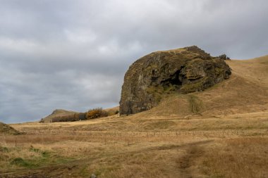 Sonbaharda çimenlerin sarı rengi. Garip şekilli bir kaya. Yoğun bulutlu gökyüzü. Güney-Orta İzlanda.