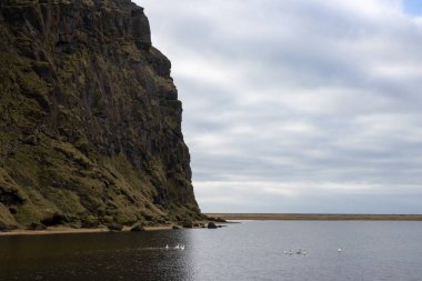 İzlanda 'nın güneyinde bir sahil. Koyu bazalt 'ın dramatik uçurumları. Sakin Atlantik Okyanusu. Sonbaharda bulutlu bir gökyüzü. Reynisfjara plajı, Vik, İzlanda.