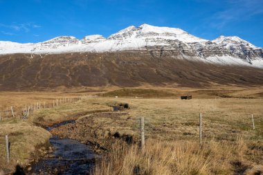 Sonbaharda dağın tepesine kar yağacak. Geriye kalan tüm topraklar yok olacak. Parlak mavi gökyüzü. Neskaupstadur 'a yakın bir yer, Doğu İzlanda.