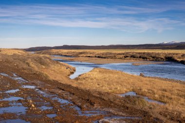 Sonbahar sarı çimenleri ve çivit mavisi nehri olan ovalar. Hafif karlı dağlar. Beyaz bulutlu mavi gökyüzü. Borgarfjordur bölgesi, Doğu İzlanda.