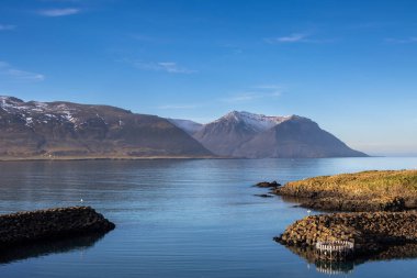 Adanın kuzeydoğusunda sonbahar doğası. Fiyort 'un etrafındaki görkemli dağlar, yosun ve yosunlarla kaplı. Atlantik okyanusunun sakin suları. Mavi gökyüzü ve ışık bulutları. Hafnarholmi, İzlanda.