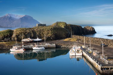 Fiyortta küçük bir liman. Onlar adadayken, martıların yuvalandığı yer. Dağlarla kaplı su. Beyaz bulutlu mavi gökyüzü. Bakkagerdi, İzlanda.