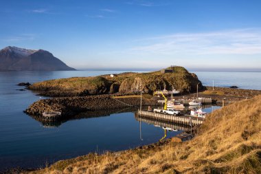 Fiyortta küçük bir liman. Onlar adadayken, martıların yuvalandığı yer. Dağlarla kaplı su. Beyaz bulutlu mavi gökyüzü. Bakkagerdi, İzlanda.