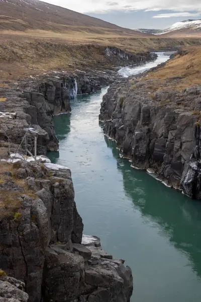 Nehrin doğum rengi, küçük uçurumlarla çevrili. Çevrede sarı otlar, yosunlar ve liken var. River Jokulsa, Doğu İzlanda.