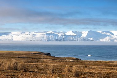 Sarı sonbahar otları tarlalarda ve otlaklarda. Atlantik Okyanusu hattı. Ufuktaki görkemli dağlar, karla kaplı. Güneşli bir günde bulutlu mavi gökyüzü. Nordausturvegur, Kuzey İzlanda.
