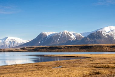 Tarlalarda ve otlaklarda kuru çimenler. Fiyortların sakin suyu. Ufukta karlı dağlar. Beyaz bulutlu mavi gökyüzü. Güneşli bir gün. Hvitserkur Bölgesi, Kuzey-Batı İzlanda.