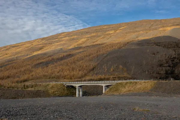 Bridge beside a big mountain, covered by dry trees. Dry river bed. Blue sky with white clouds. Area of Siduvegur, North-West Iceland.