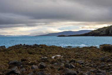 Westfjords bölgesinin vahşi kıyı şeridi. Atlantik Okyanusu 'nun sakin suları ve sonbaharda biraz karla görkemli dağlar. Bulutlu gökyüzü. Isafjordur Bölgesi, Kuzey-Batı İzlanda.