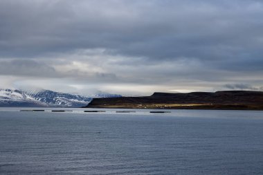 Westfjords bölgesinin vahşi kıyı şeridi. Atlantik Okyanusu 'nun sakin suları ve sonbaharda biraz karla görkemli dağlar. Bulutlu gökyüzü. Isafjordur Bölgesi, Kuzey-Batı İzlanda.