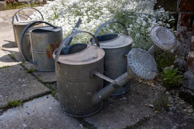 Çiçekleri sulamak için üç adet geleneksel alüminyum kutu kullanıldı. Mezarda bir sürü güzel beyaz çiçek. Güneşli bir gün. Dlouhomilov, Moravya, Çek Cumhuriyeti.