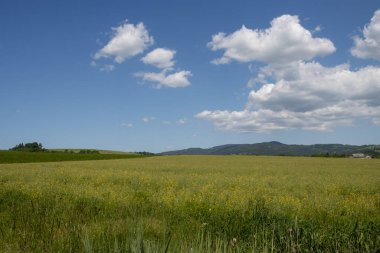 Yeşil alan ve tepeler, Brnicko, Çek Cumhuriyeti