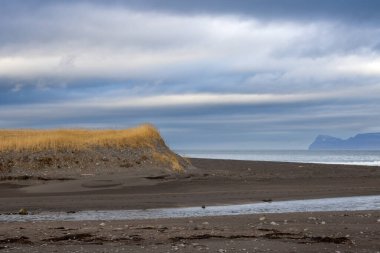 Nehrin sakin suları, bulutlu gökyüzünü bir nebze güneş ışığıyla yansıtıyor. Sarı kuru sonbahar otları. Nehir okyanusa dökülmeden önce işaret et. Batı Fiyortları, İzlanda.