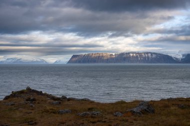 Westfjords bölgesinin vahşi kıyı şeridi. Ön planda Meadow. Atlantik Okyanusu 'nun sakin suları ve sonbaharda biraz karla görkemli dağlar. Bulutlu gökyüzü. İzlanda, Isafjordur Bölgesi.