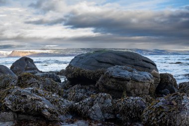 Atlantik Okyanusu 'nun karanlık volkanik kıyıları. Ufuktaki dağlar, karlı zirveler. Yoğun bulutlu gökyüzü. Isafjordur, Westfjords, İzlanda Bölgesi.