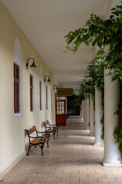 Spa Adası 'nın çevresinde taze yeşilliklerle çevrili tarihi mimari. Şifalı yayları olan şehir. Piestany, Slovakya.