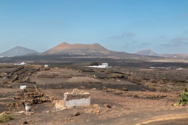 Şarap üzümlerinin ekildiği karanlık volkanik bir toprak manzarası. Geleneksel beyaz binalar. Arka plandaki dağ. Kışın beyaz bulutlu mavi gökyüzü. La Florida, Lanzarote, İspanya.