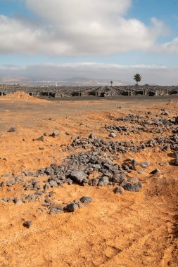 Yeni üzüm bağının etrafına duvar örmek için taşlar ve içinde büyümek için toprak. Malzemelerin ayrıntıları yeni bir bitki için hazır. La Florida, Lanzarote, Kanarya Adaları, İspanya