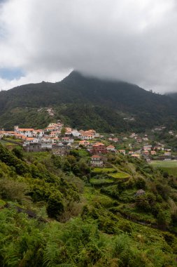 Çalı ve çimen gibi çeşitli ağaçları olan taze yeşil renkler. Küçük konutlar. Dağın tepesinde sis var. Orta Madeira, Portekiz.