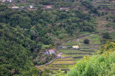 Birçok ağaç, çalı ve çimen içeren taze yeşil renkler. Küçük konutlar. Orta Madeira, Portekiz.