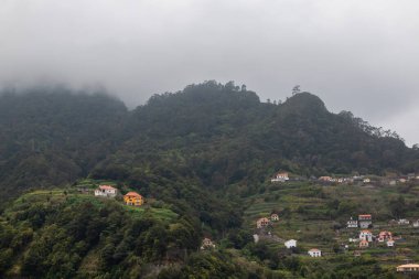 Çalı ve çimen gibi çeşitli ağaçları olan taze yeşil renkler. Küçük konutlar. Dağın tepesinde sis var. Orta Madeira, Portekiz.