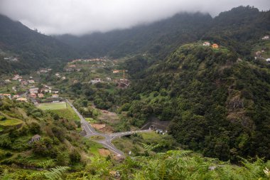 Çalı ve çimen gibi çeşitli ağaçları olan taze yeşil renkler. Küçük konutlar. Dağın tepesinde sis var. Orta Madeira, Portekiz.