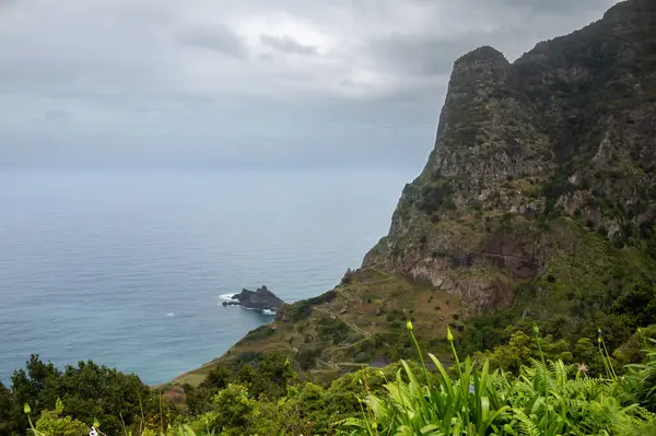 stock image Volcanic cliffs covered by wild fresh greenery in the spring. Calm Atlantic ocean in the background. Boaventura, Madeira, Portugal.