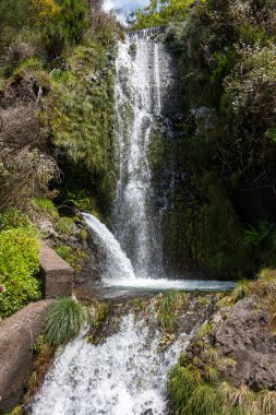 Taze bahar yeşiliyle çevrili yüksek bir dağdan akan şelale. Levada das 25 fontes Rabacal, Paul da Serra, Madeira, Portekiz.