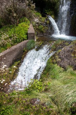 Taze bahar yeşiliyle çevrili yüksek bir dağdan akan şelale. Levada das 25 fontes Rabacal, Paul da Serra, Madeira, Portekiz.