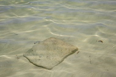 Akdeniz 'in suyu. Görünürde kumlu bir taban var. Kare beton fayans. Güneş ışığını yansıtan ışık dalgaları. Djerba Adası, Tunus, Afrika.