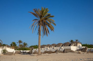 Tipik geleneksel mimari, bir tatil köyünün evlerinde kullanılan bir kubbe. Yüksek palmiye ağaçları. Sahilin ve sahilin kumları. Mavi yaz gökyüzü. Djerba, Tunus.