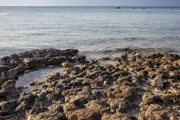 Akdeniz 'in kayalık kıyıları. Sahilin umumi bir parçası. Altın saatin ışığında kayalar. Djerba, Tunus, Afrika.