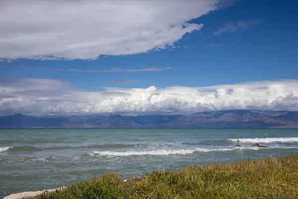 stock image Greenery on the coast of the Ionic sea during a late summer day. Small waves. Blue sky with white clouds. Astrakeri, north of island Corfu, Greece.