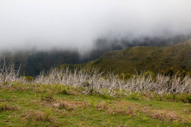 Dağlar taze yeşilliklerle kaplı. Bir bahar akşamı üzerlerinde bulutlar vardır. Risk Calheta, Miraduro do Rabacal, Madeira, Portekiz.